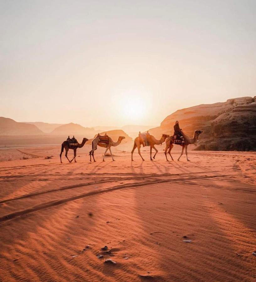 Lukasa Camp Wadi *